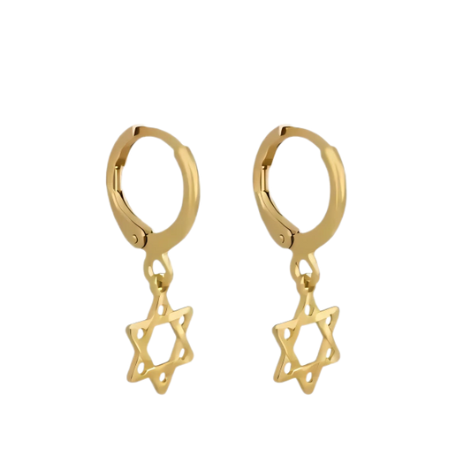 Brinco Estrela De Davi - Em Ouro